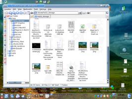 Konqueror - the default file manager for Kubuntu/KDE